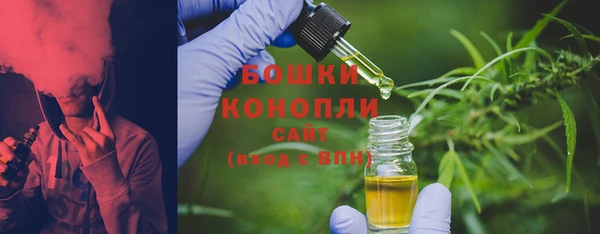 индика Бугульма