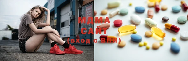 крисы Бородино
