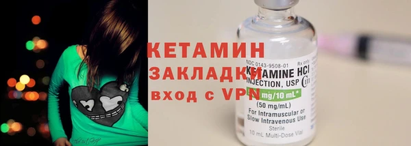 крисы Бородино