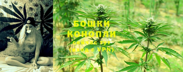 индика Бугульма