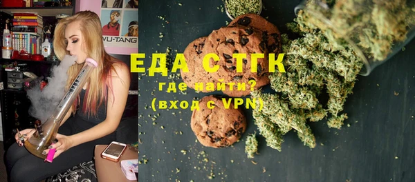индика Бугульма