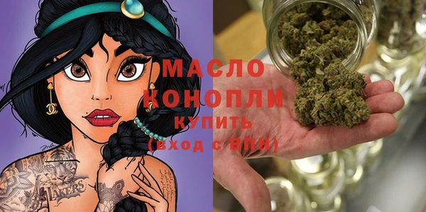 индика Бугульма