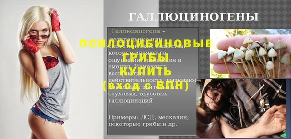 крисы Бородино