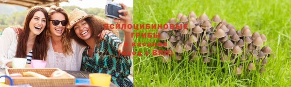 первитин Богородицк