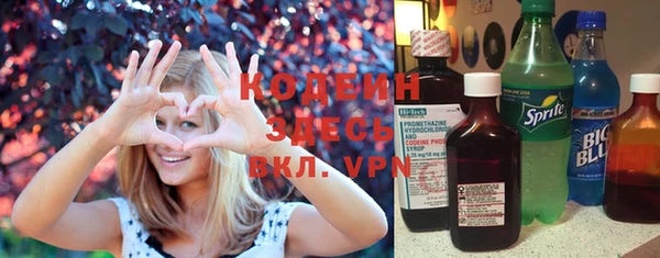 крисы Бородино