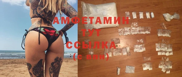 крисы Бородино