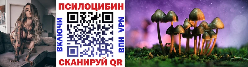 Купить где  Фатеж  Псилоцибиновые грибы мухоморы 